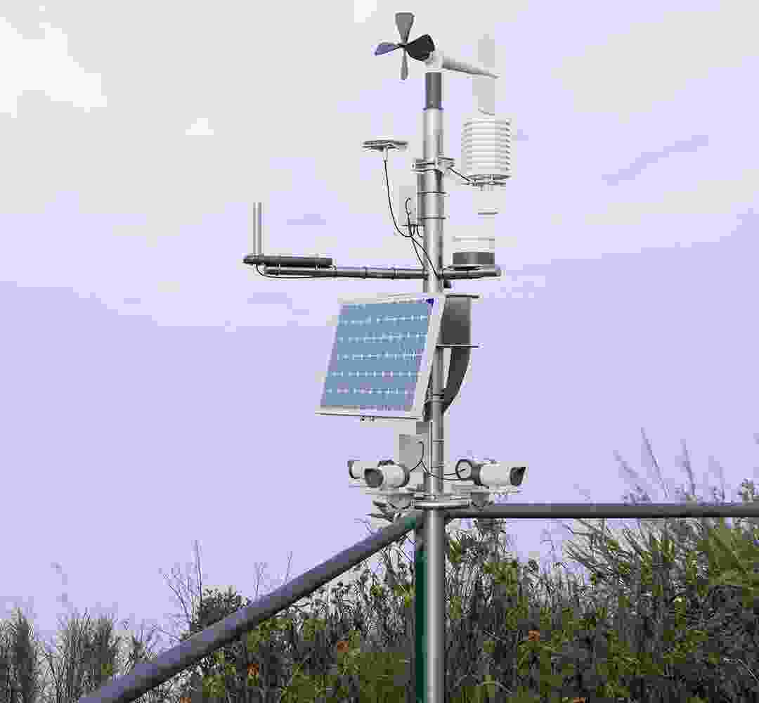 Solar panels are dependable, long-lasting, and ideal for cities